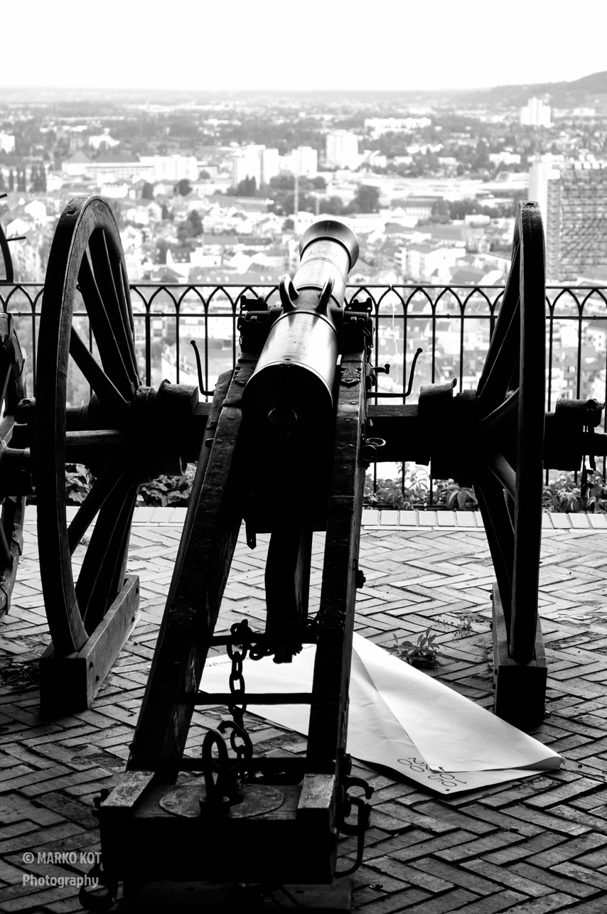 Cannon With Nikon